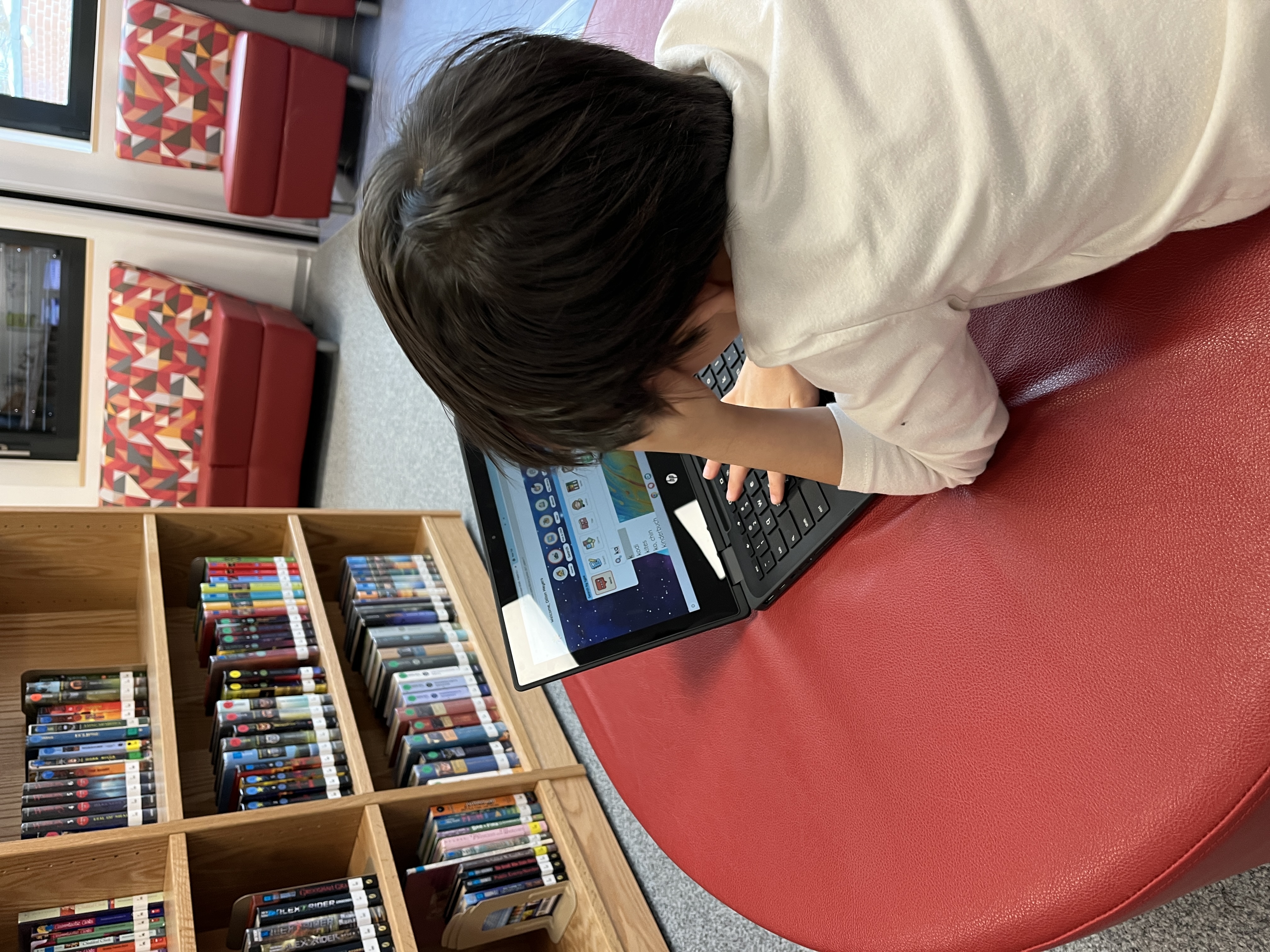 February Library Pic 1