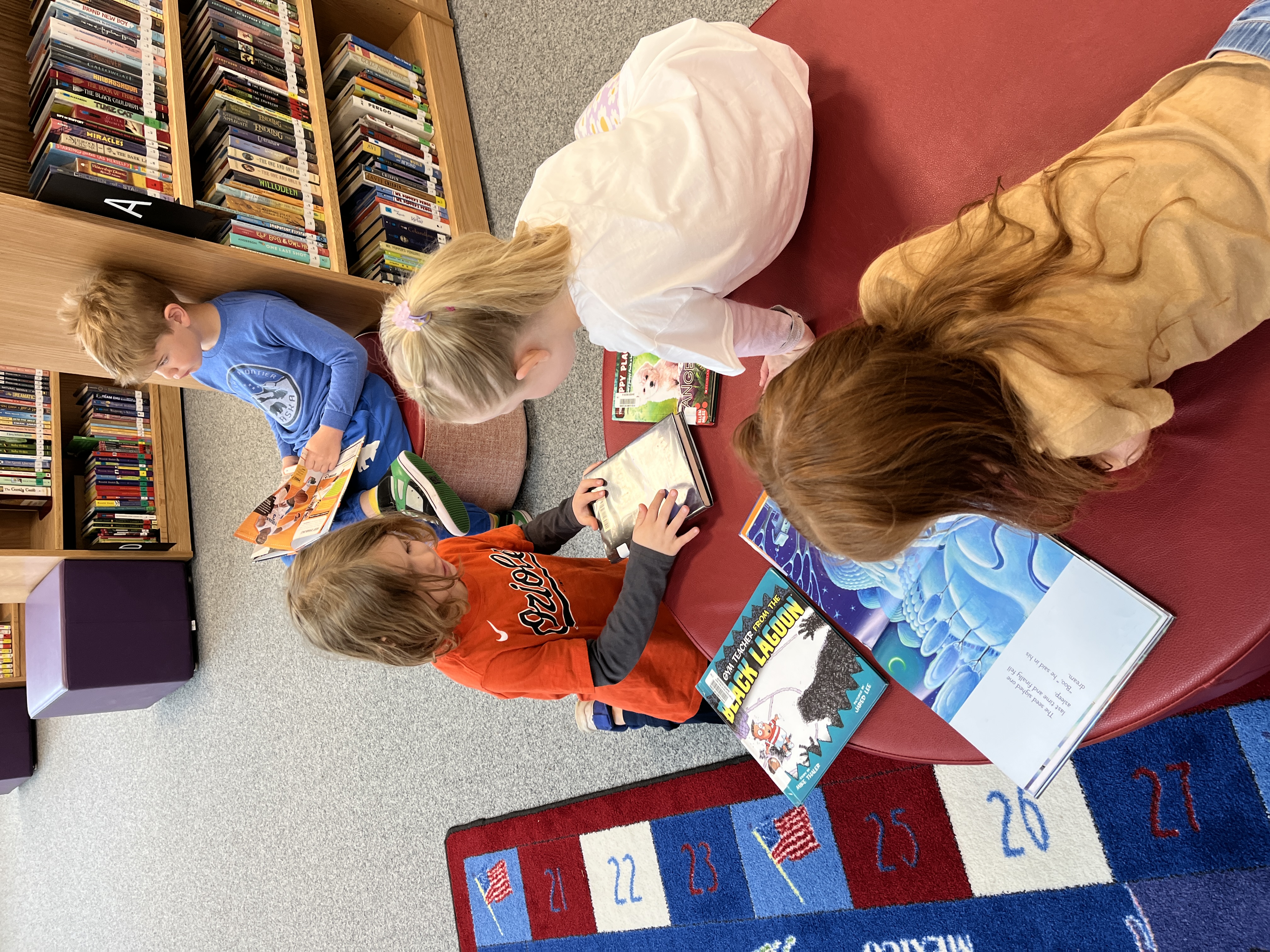 Library snapshot