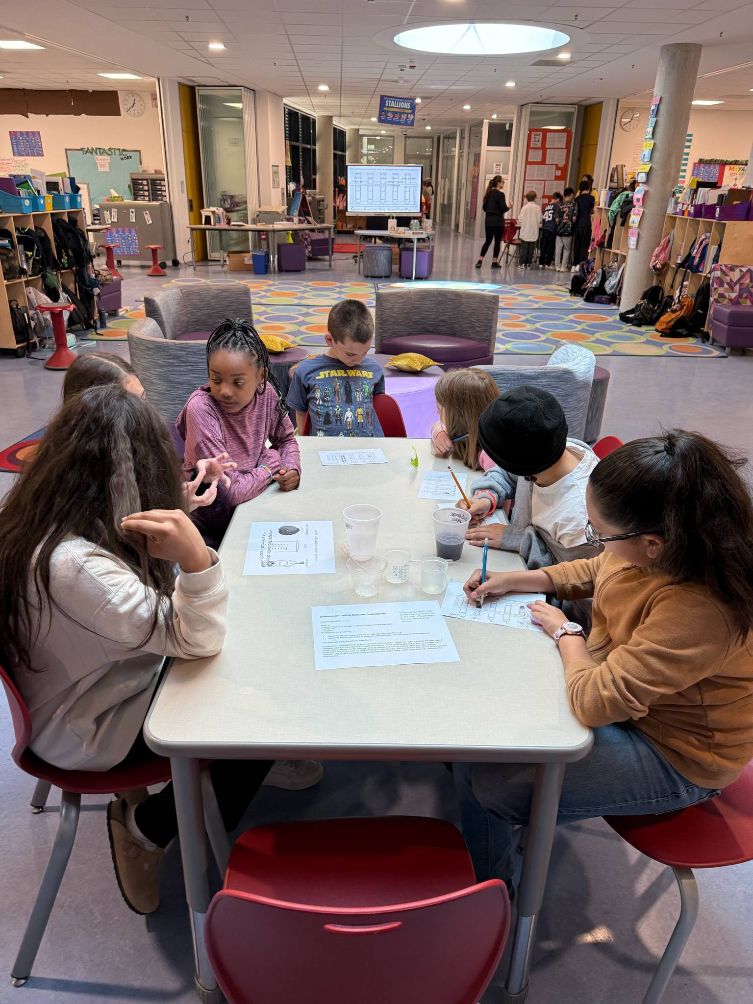 5th grade science stations